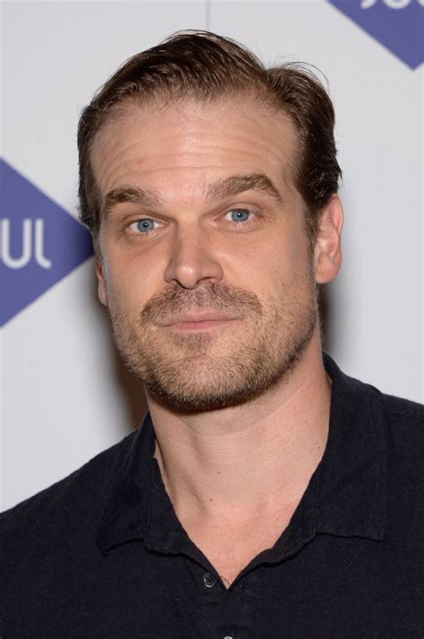 david harbour imdb|david harbour stranger things.